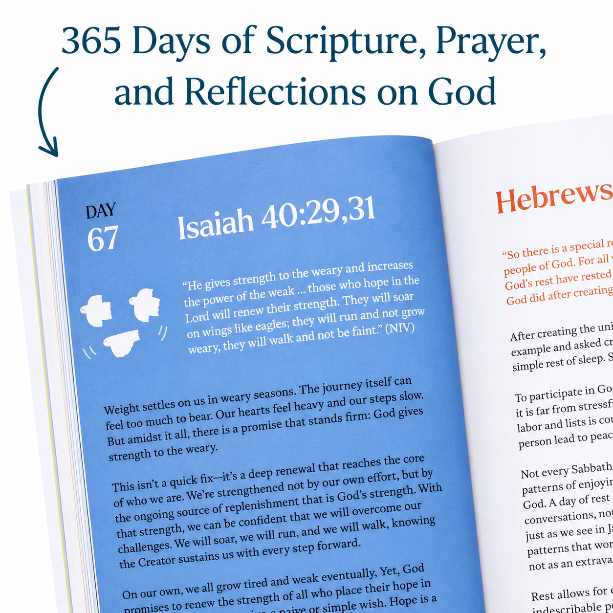 A Beautiful Year with Jesus : The 365 Day Bible Devotional