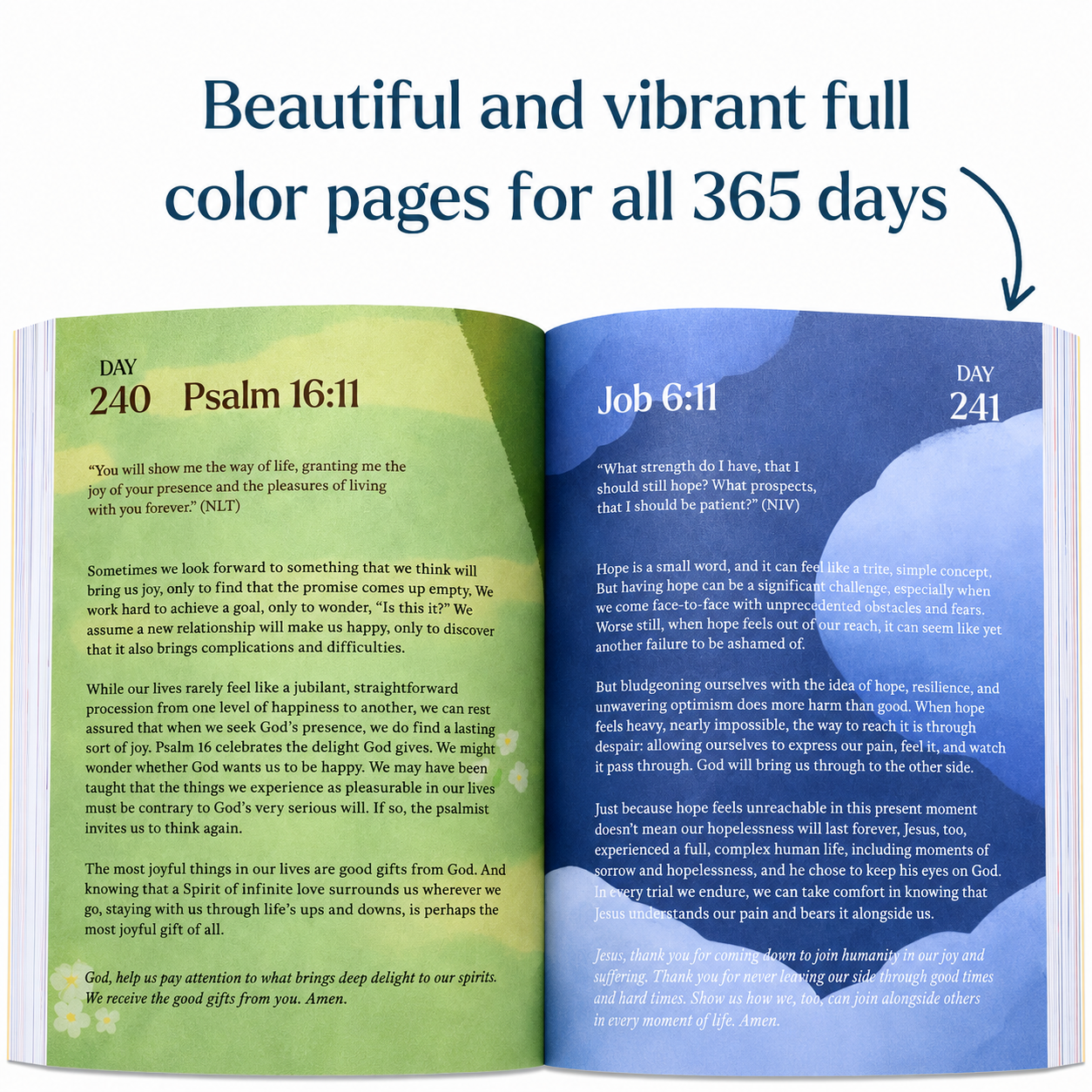 A Beautiful Year with Jesus : The 365 Day Bible Devotional